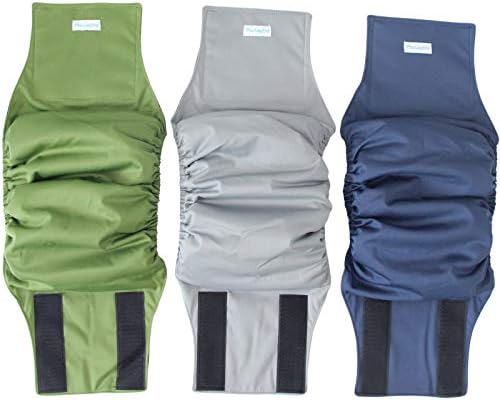 paw legend dog diapers