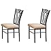 Poundex Shannon Series Dining Chair in Charcoal Iron Finish European Style, Set of 2