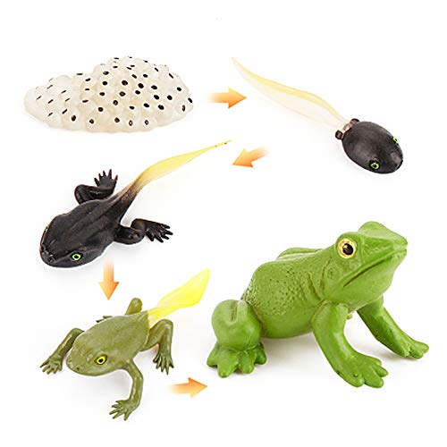 Frog Tadpole Frog Cycle Lock Frog Bikes Frog Tadpole Plus