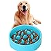 JASGOOD Slow Feeder Dog Bowl for Medium Dogs Slow Feeding Interactive Bloat Stop Dog Bowls,Blue,Medium