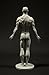 Male Anatomy Figure: 11-inch Anatomical Reference for Artists (Grey) from 3dtotal