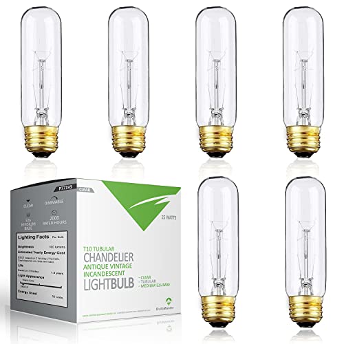 Bulbmaster 25 Watts T10 Tubular Clear Incandescent
