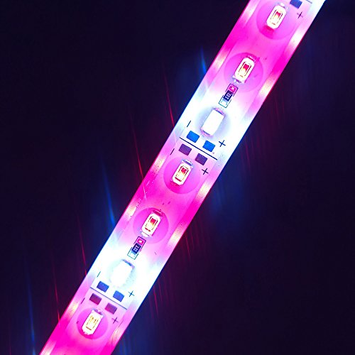 HAMRVL 5730 Aquarium Coral LED Strip Light Spool Waterproof LED Plant Grow String Lights DC 12V 1ft 3Pcs With power and remote (2 red 1 white)