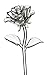 Waterford Fleurology Glass Flower, Rose