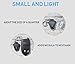 Finware 10 Pack Micro Light LED Keychain Mini Flashlight, Ultra Bright Key Ring Light Torch, Batteries Included