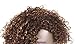 HUA Short Curly Human Hair Wigs for Black Women 8 inch Short Curly Wigs for Black Women No Lace Front Human Hair Wigs (WIG P4/27)