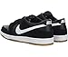 NIKE Men's SB Zoom Dunk Low Pro Skate Shoe
