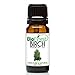 BioFinest Birch Oil - 100% Pure Birch Essential Oil - Fight Muscle & Joint Paint - Premium Quality - Therapeutic Grade - Best For Aromatherapy - FREE E-Book (10ml)