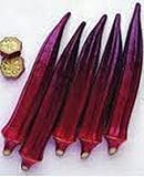 Okra,Red Burgundy Okra Seeds, Organic, NON-GMO, 25 seeds per package,