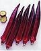 Okra,Red Burgundy Okra Seeds, Organic, NON-GMO, 25 seeds per package, primary