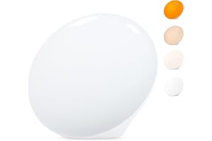 LASTAR Sun Lamp, 10,000 Lux Sunlight Lamp with 4 Color Temperatures & 5 Brightness & 1H Timer, Touch Control Daylight Lamp with Memory Function for Home