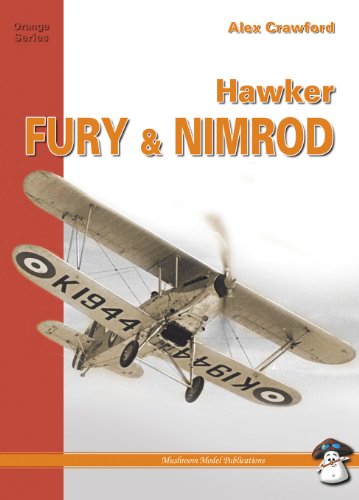 Hawker Fury & Nimrod (Yellow Series) by Alex Crawford