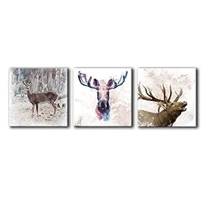 Colored Animals Home Artwork for Living Room Bedroom x3 Panels