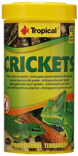 Crickets 250ml / 25g - Grillons seches pour Reptiles et Amphibiens
