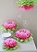 Butterfly Craze Girls Party Decorations - Set of 7 Tissue Paper Flowers … (Pink)