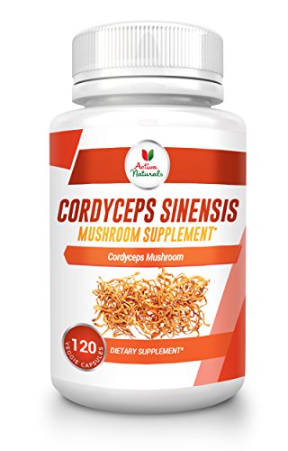 Activa naturals cordyceps mushroom supplement - 120 veg. capsules…