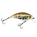 Yo-Zuri 3DB Squarelip Shallow Floating Lure