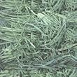oxbow orchard grass 50lb