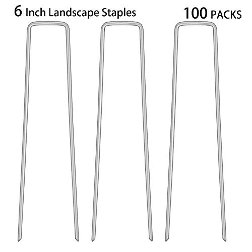 DICASAL 100 Pack Heavy Duty Garden Landscape Fabric Anchor Staples, 6 inch 11 Gauge Thick Professional Grade Anti-Rust Steel Sod Securing Pegs for Weed Barrier Fabric, Plant Cages, Mulch, Irrigation