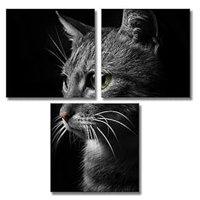 for Living Room Bedroom Home Artwork Animal Paintings x3 Panels