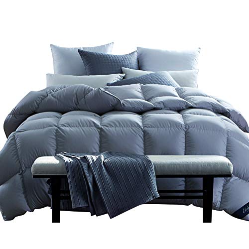 Globon Fusion White Goose Down Comforter Queen 45oz, 600 Fill Power, 300 Thread Count, Down Proof Shell, Hypoallergenic, with Corner Tabs, All Season,Bluish Grey