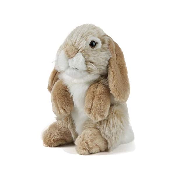 Living Nature Brown Sitting Lop Eared Rabbit, Realistic Soft Cuddly Bunny Toy, Naturli Eco-Friendly Plush, 18cm
