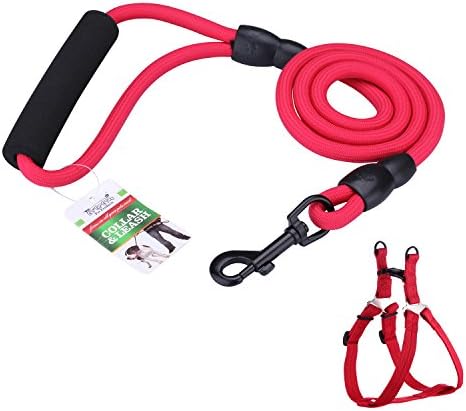 Ninth Dog Leash Pet Strap Training Halter Harnesses Rope with Padded Handle, 4-feet, Red