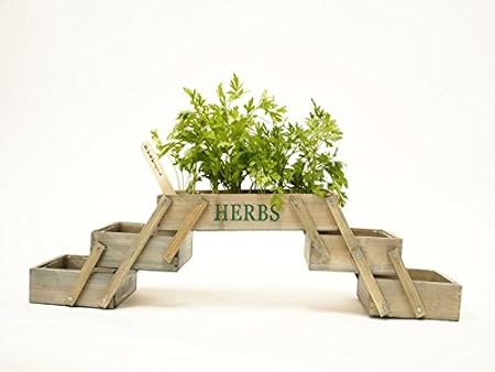 muebles bonitos - Mini Huerta Modelo Plegable: Amazon.es: Hogar