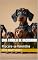 Livro Uma Familia de Dachshund: Procura-se Valentina (Os Dauschund)