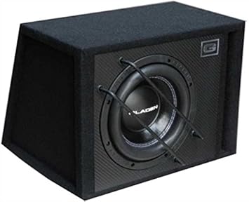 Gladen SQX 10-VB - 25 cm caja de subwoofer Bass Reflex: Amazon.es: Electrónica