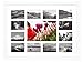 Golden State Art, 13-Opening 12x16-inch Collage Photo Wood Frame with White Mat & Real Glass, White