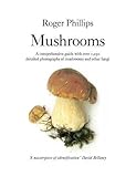 Mushrooms by 