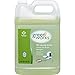 Clorox Commercial Solutions Green Works Manual Pot & Pan Dishwashing Liquid, 128 Ounces (30388)