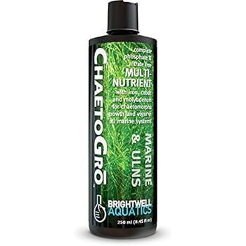 Brightwell Aquatics CHGR250 Chaeto GRO Chaetomorpha Algae Fertilizer, 250 mL