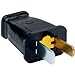 Legrand Pass & Seymour SA540BKCC10 Residential Polarized Plug Straight Blade 15-Amp 125-volt Two Pole Two Wire, Black (1 Count)
