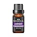 LATITOP Lavender Essential Oil, 100% Pure & Natural Aromatherapy Essential Oils for Diffuser, Humidifier, Massage, Aromatherapy (10ml)