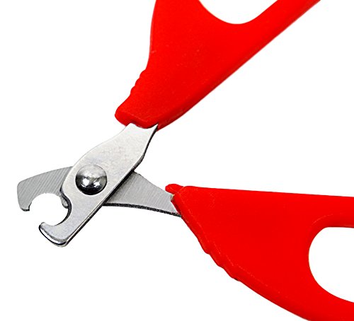 Cat Claw Clippers - Professional Grade Nail Trimmer for Cats - Great for All Clawed Pets - Safe, Easy, Comfortable - by bogo Brands (Red) - Thumbnail 2