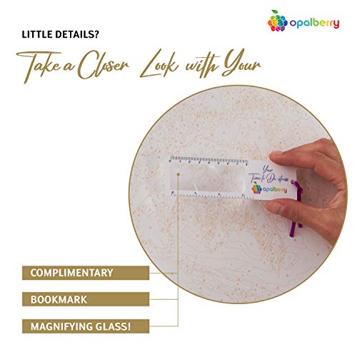 Opalberry Paint by Numbers for Adults Framed Adults' PaintbyNumber