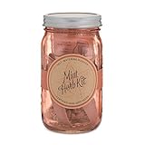 Modern Sprout Mint Coral Self-Watering Organic Herb Garden Kit