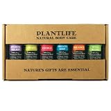 Be Well Essential Oil Gift Set - 6 Essential Oil Blends For Wellness