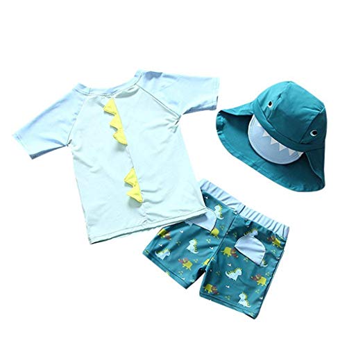 Baby Toddler Boys Two Pieces Swimsuit Set Swimwear Dinosaur Bathing Suit Rash Guards with Hat UPF 50+ (Lake Blue, 9-18 Months(Height:29"-33"/73-85cm))