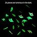BASSDASH Ice Fishing Lure Kit Glowing Paint Jigs for Winter Ice Jigging Crappie Sunfish Perch Walleye Pike with Tackle Box
