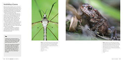 Mastering Macro Photography - Thumbnail 7