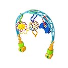 O Ball Flex 'n Go Activity Arch Take-Along Toy