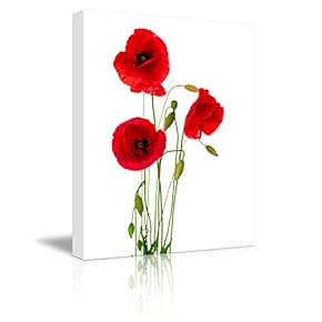 Canvas Prints Wall Art - Red Poppy Flowers Against White Background | Modern Wall Decor/Home Art Stretched Gallery Wraps Giclee Print & Wood Framed. Ready to Hang - 12" x 18"