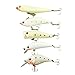 Rose Kuli 5pcs Night Light Floating Fishing Lures Baits Set Gear