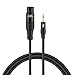 CableCreation (1/8 Inch 3.5mm to XLR Cable, Balanced XLR Female to 3.5mm Microphone Cable 3 Feet/0.9M, Black