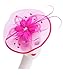 Lucky Leaf Women Girl Fascinators with Hair Clip Hairpin Hat Bowknot Feather Flower Veil Cocktail Wedding Tea Party Hat (8-Fuschia)