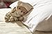 Little Dreamers Toddler Pillow with Case, White