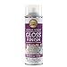 Aleene's 26412 Spray Gloss Finish 6oz Acrylic Sealer, Original Version primary